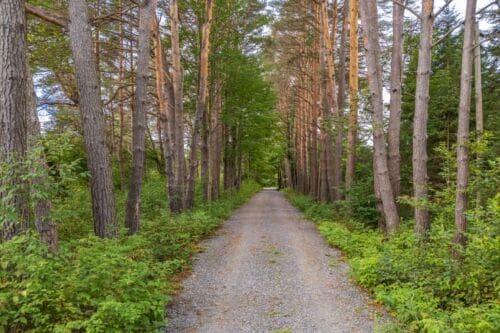 Open property gallery