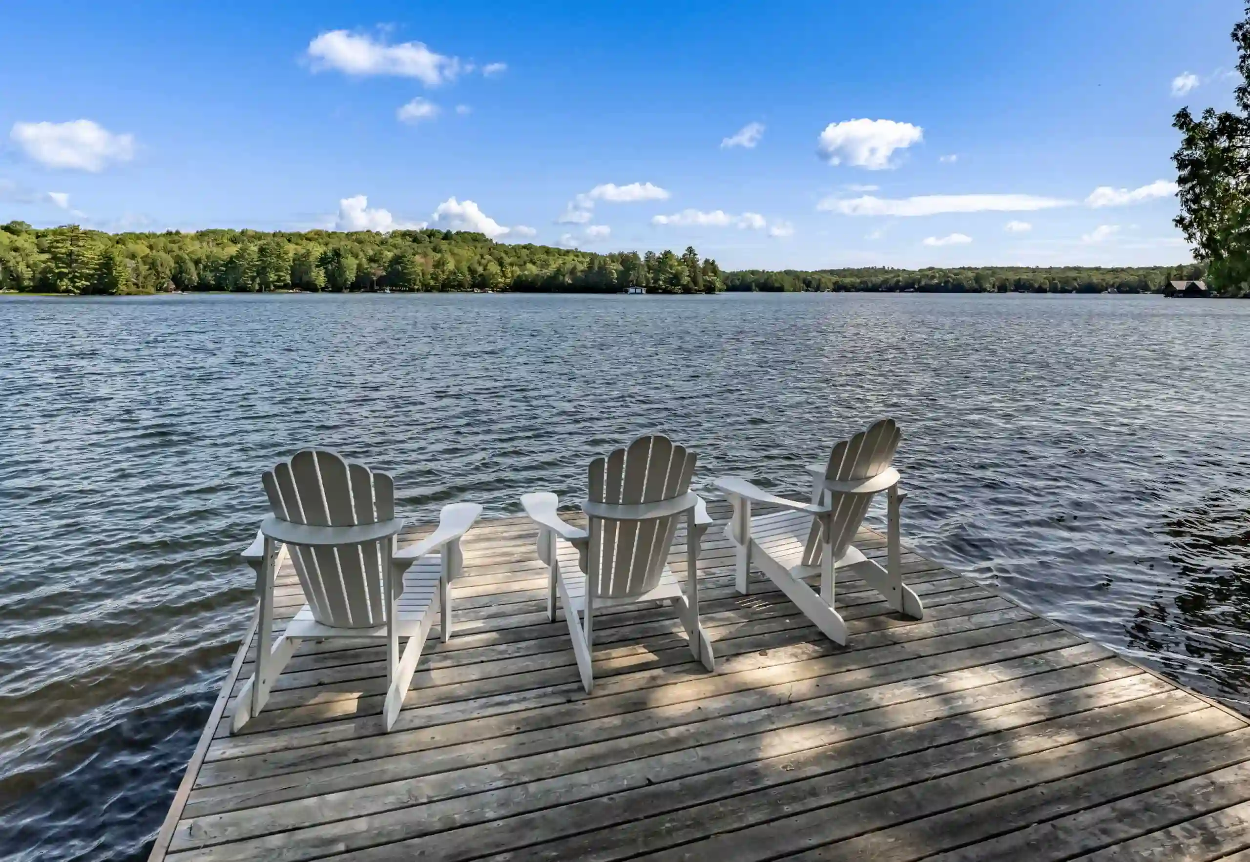 Adirondack chairs on a wooden cottage dock overlooking a calm Ontario lake with a forested shoreline in the background